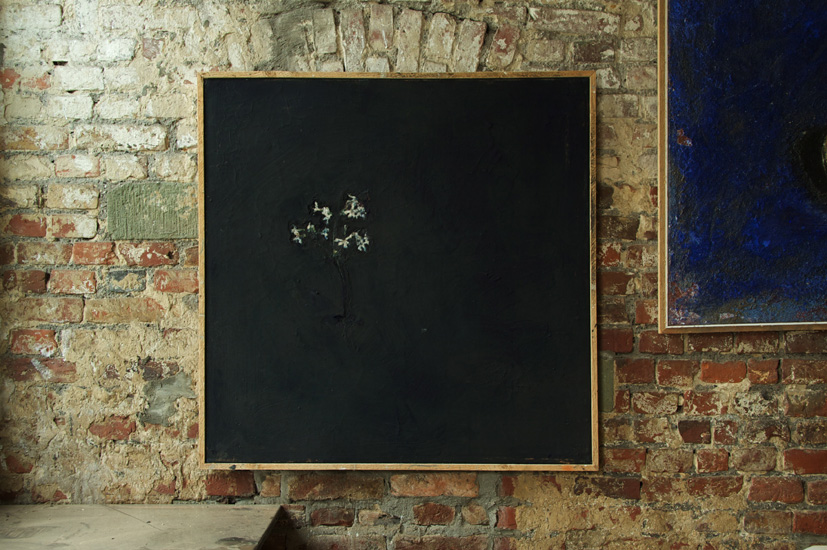 Seifenkraut 100 x 100cm 2007